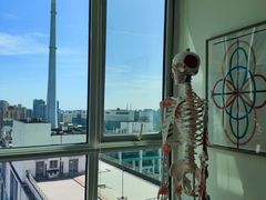 -体博士·疼痛调理·体态矫正·运动康复中心(大望路华贸店)
