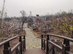 -北京凤凰岭