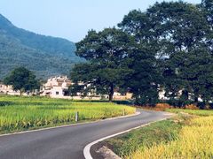 -塔川景区