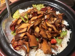 见手青-蘑界·野生菌火锅(深业上城店)