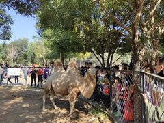 -长白岛森林公园