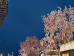 -首开·龙湖成都西宸天街