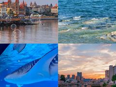 -烟台海昌鲸鲨海洋公园