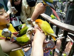 -正佳雨林生态植物园
