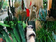 -中国天府农业博览园