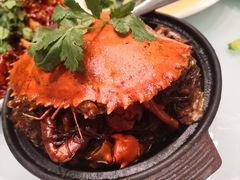 -新吉士·上海菜(浦东LCM置汇旭辉店)