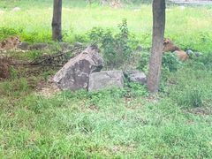 -上海野生动物园