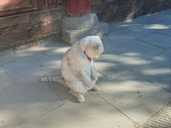 -张掖大佛寺景区