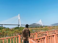-芒洲湿地公园
