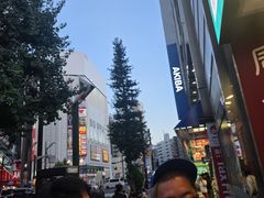 -秋叶原电器街
