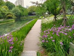 -和平公园