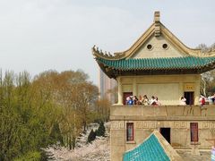 -武汉大学-樱园