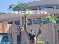 -天津市动物园