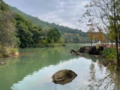 -广州白江湖森林公园