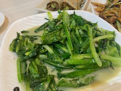 -台北楚楚园馅饼粥(虹桥南丰城店)