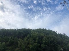 -长沙黑麋峰国家森林公园