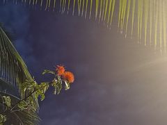 -亚马逊丛林水乐园