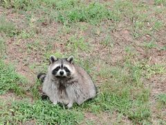 -秦皇岛野生动物园