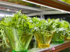 -加餐海鲜自助(宝龙一城店)