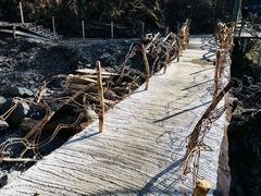 -凤凰山国家森林公园