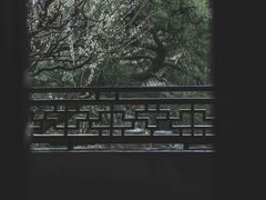 -六出私塾LiuChu•成人美术书法系统课程专业画室(熊婆婆的花园店)