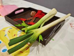 -厦门屿爱月子中心(独栋海湾店)