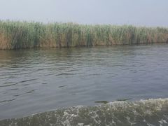 -白洋淀景区