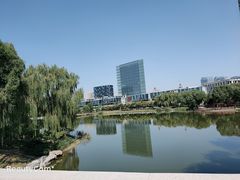 -大兴滨河森林公园