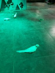 -酷嗒动物文化乐园(cutezoo西溪乐天城店)