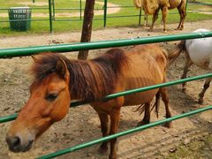 IMG_20140907_123436-苏州太湖牛仔风情度假村