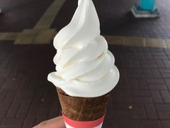 -富豪雪糕车流动点(尖沙咀店)