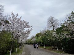 -上海海湾国家森林公园