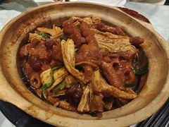 -熠盛粤味·顺德桑拿鸡(永康路店)