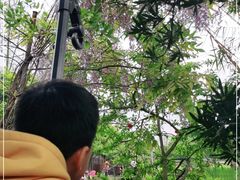 -洪湖家庭农场·团建·露营·会议