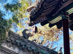 -潭柘寺景区