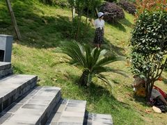 -枫香湖儿童公园