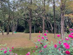 -人民公园(罗湖区)