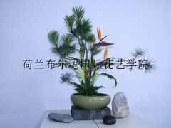 -荷兰布尔玛国际花艺学院