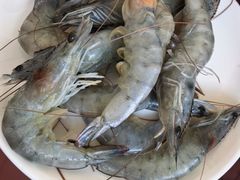 -山海关清和浑锅店