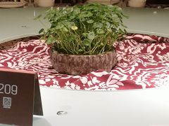 -临家闽南菜(大唐店)