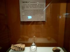 -华豫川酒家(双子塔店)