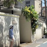 这样chill的小院子 居然藏在居民区咖啡店
