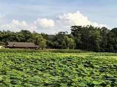 -承德避暑山庄景区