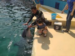 -秦皇岛乐岛海洋王国