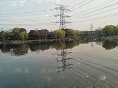 -九里河湿地公园