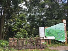 -广州市帽峰山景区