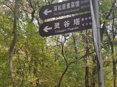 -灵谷景区