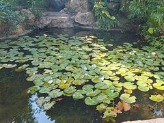 -晓港公园
