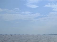 -南汇新城海滩
