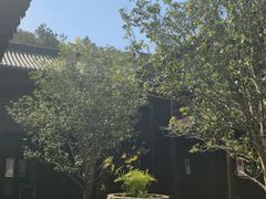 -石峰岩寺